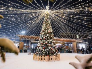 Продается деревянный дом имеется охрана фото 22 Всеволожск