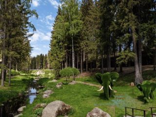 Продается деревянный дом имеется охрана фото 36 Всеволожск