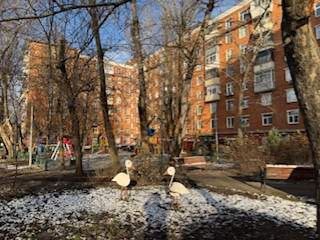 Продаю 3 комнатную квартиру кирпичный аккуратный подъезд фото 24 Москва