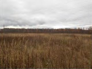 Продам участок земли в садовом некоммерческом товариществе фото Раменское