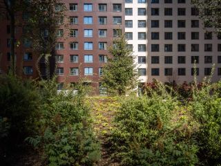 Продам помещение свободного назначения фото 7 Москва