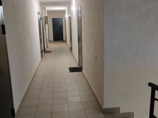 Продам студию кирпичный фото 11 Новая Адыгея