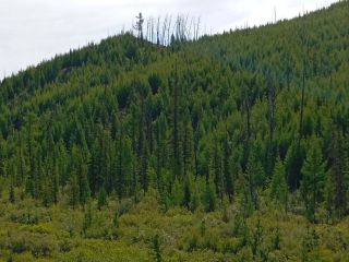 Продается земельный участок фото 7 Кызыл