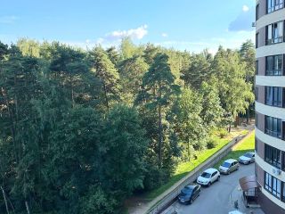 Продаю 1 комнатную квартиру видеонаблюдение взрослые собственники фото 8 Красногорск