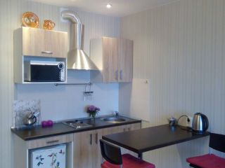 Сдаю студию посуточная аренда фото 13 Новосибирск