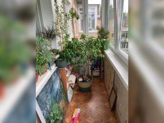 Продам 1 комнатную квартиру фото 5 Владивосток