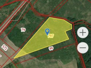 Продам зем участок с плодоносящим садом фото 3 Гурьевск