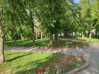 Сдам помещение свободного назначения удобное расположение фото 10 Москва