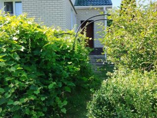 Продается кирпичный дом с плодоносящим садом металлический фото 4 Спасск-Рязанский