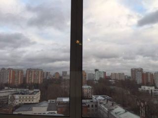 Продам 1 комнатную квартиру с мебелью взрослый собственник фото 19 Москва