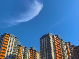 Продаю однушку фото 5 Всеволожск