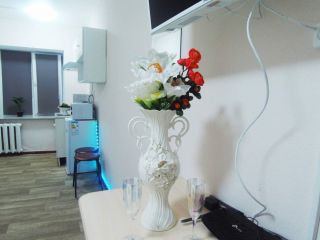 Сдается студия посуточно посуточная аренда фото 17 Ивантеевка