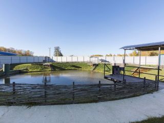 Сдаю коттедж под охраной подключена канализация фото 11 Щёлково