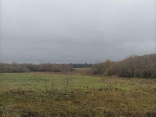 Продам участок земли фото 6 Руза