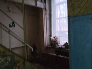 Продаю нежилое помещение с коммуникациями свободного назначения фото 2 Москва