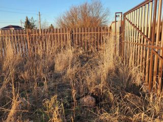 Продаю земельный участок рядом асфальт с коммуникациями фото 7 Тосно