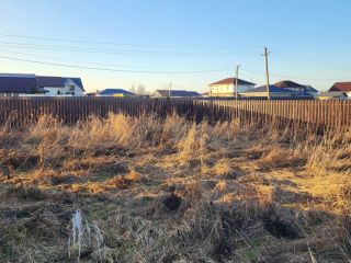 Продаю земельный участок рядом асфальт с коммуникациями фото 12 Тосно