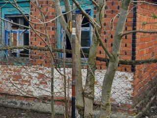 Продам земельный участок фото 2 Лабинск