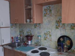 Продам однокомнатную квартиру косметический ремонт взрослый собственник фото 6 Новосибирск