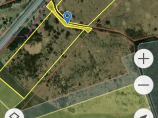 Продам участок земли с плодоносящим садом фото 6 Гурьевск