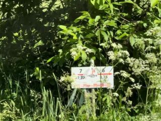 Продам участок земли фото 6 Дмитров