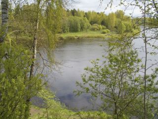 Продаю зем участок есть документы фото 8 Ржев