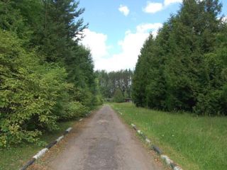 Продаю участок земли с коммуникациями есть электричество фото 5 Истра