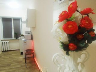 Сдается студия посуточно фото Ивантеевка