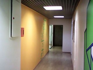 Сдается нежилое помещение косметический ремонт свободного назначения с коммуникациями фото 4 Москва