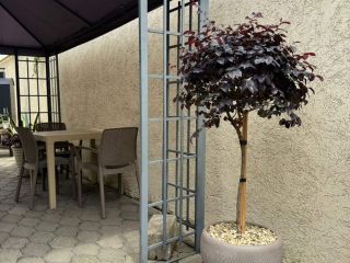 Сдам комнату фото 26 Сочи