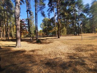 Продается нежилое помещение фото 20 Тамбов