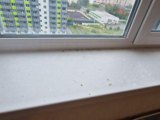 Продам однушку фото 10 Всеволожск