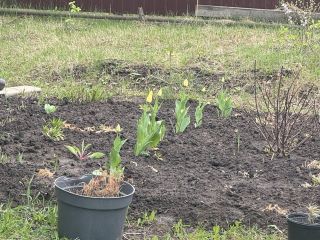 Продаю дачу отличный ремонт есть теплица с мебелью фото 29 Емельяновский