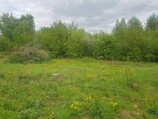 Продам земельный участок фото Раменское