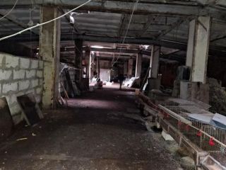 Продаю помещение свободного назначения фото 15 Ижевск