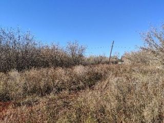 Продам земельный участок асфальтная дорога фото 7 Ижевск