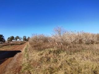 Продам земельный участок асфальтная дорога фото 11 Ижевск