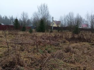 Продаю земельный участок документы в полном порядке фото 3 Пушкино