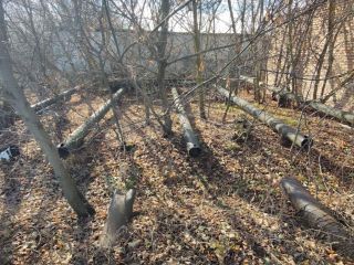 Продается помещение свободного назначения фото 2 Пенза