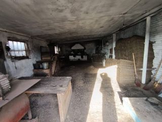 Продается помещение свободного назначения фото 18 Пенза