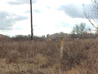 Продается помещение свободного назначения на первой линии фото 10 Саратов