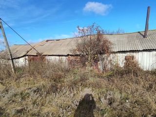 Продается помещение свободного назначения фото 13 Пенза