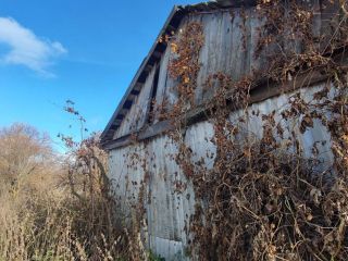 Продается помещение свободного назначения фото 38 Пенза