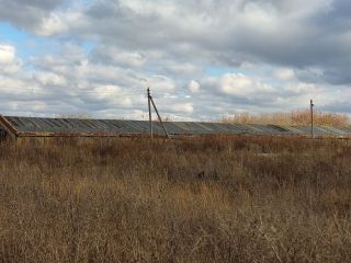 Продается помещение свободного назначения фото 23 Саратов