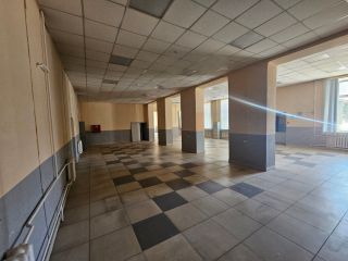 Сдаю помещение свободного назначения с мебелью фото 5 Барнаул