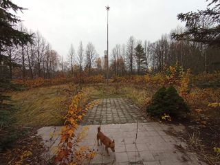 Продам помещение свободного назначения есть электричество подключена канализация фото 9 Ступино