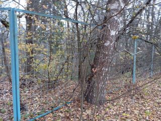 Продам помещение свободного назначения есть электричество подключена канализация фото 25 Ступино