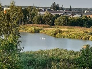 Продам дом документы готовы фото 22 Гатчина