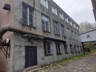 Продается нежилое помещение фото 8 Петропавловск-Камчатский