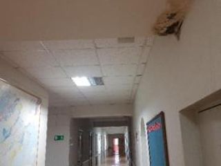 Продается нежилое помещение фото 9 Петропавловск-Камчатский